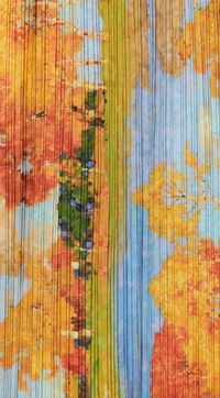 Never Fully Dressed Tilly Artist Printed Off the Shoulder Dress 